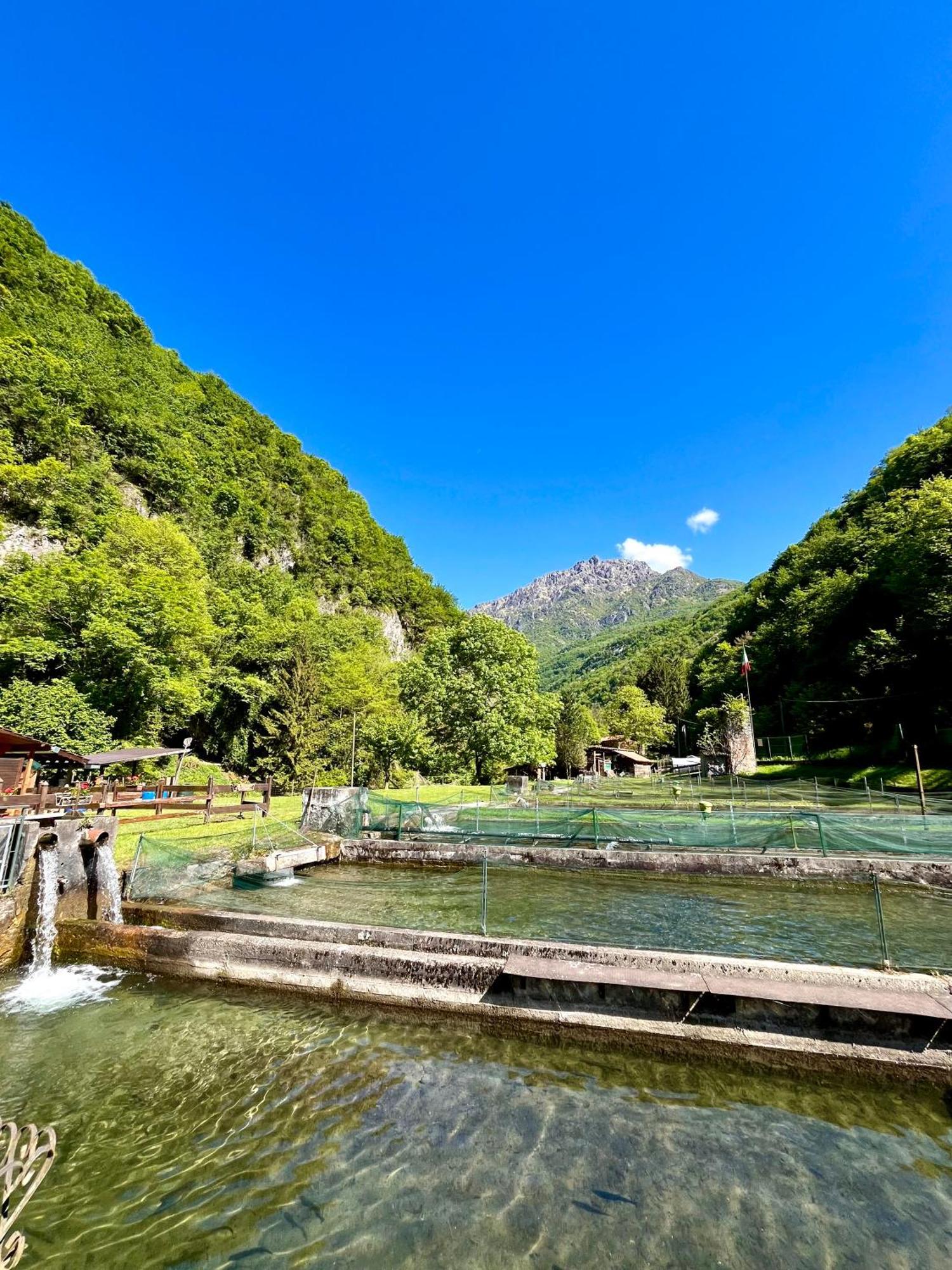 Agriturismo La Vecchia Chioderia Grandola ed Uniti Eksteriør billede