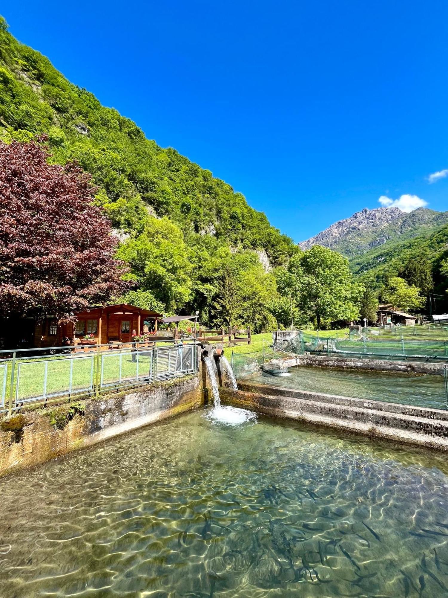 Agriturismo La Vecchia Chioderia Grandola ed Uniti Eksteriør billede