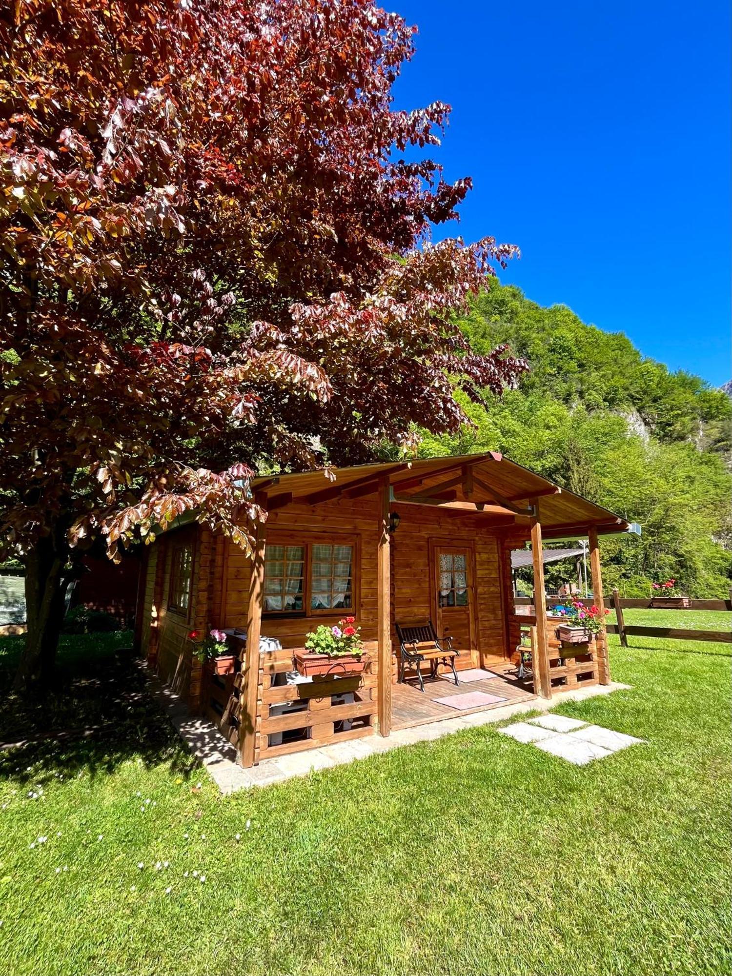 Agriturismo La Vecchia Chioderia Grandola ed Uniti Eksteriør billede