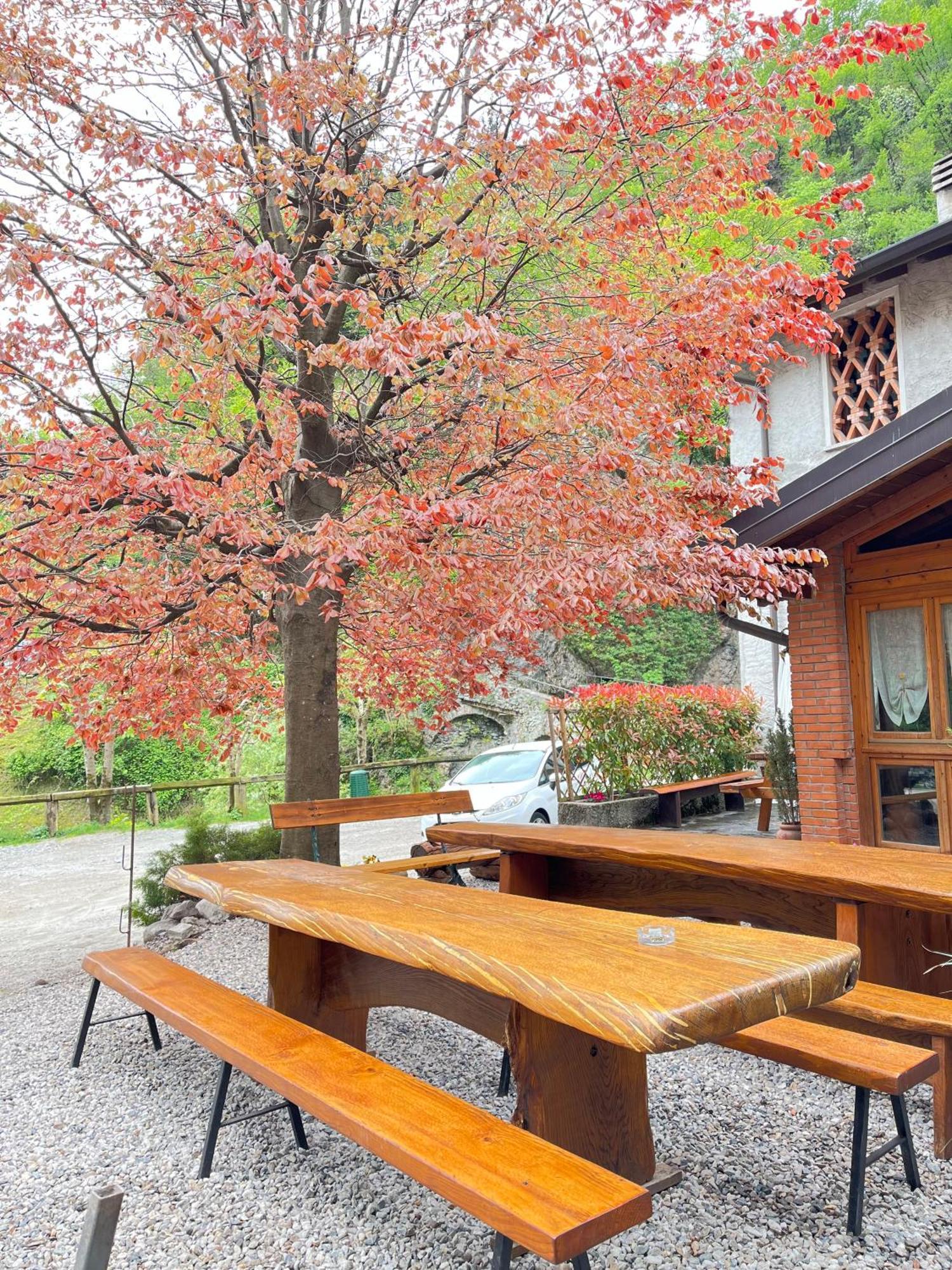 Agriturismo La Vecchia Chioderia Grandola ed Uniti Eksteriør billede