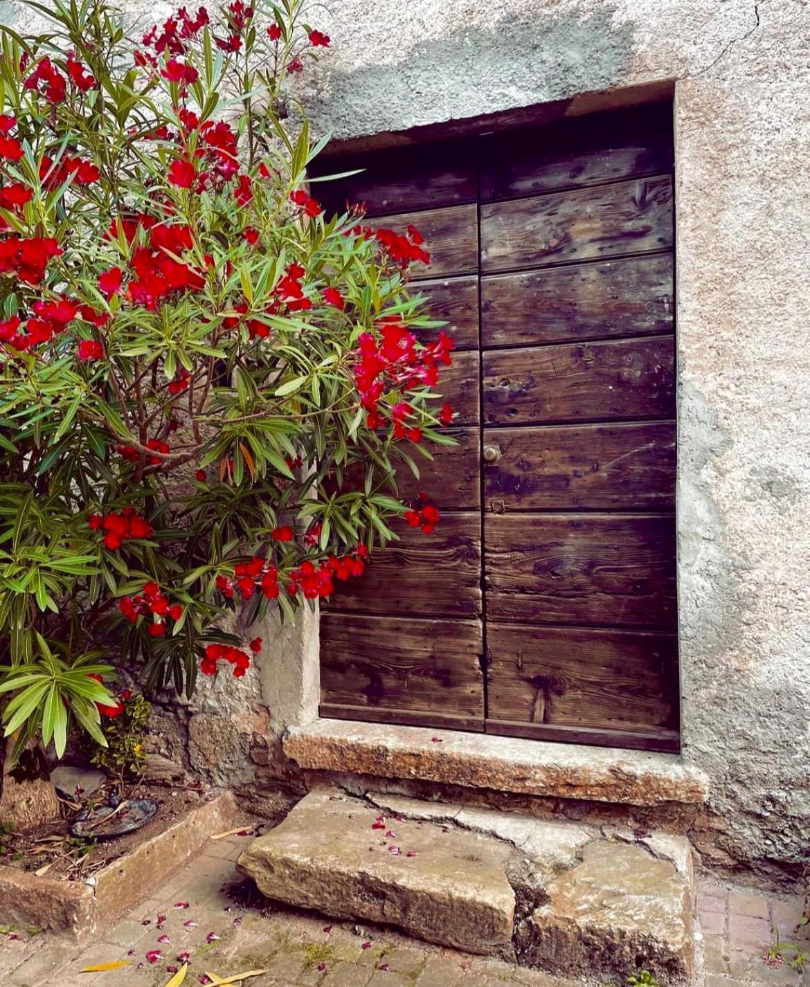 Agriturismo La Vecchia Chioderia Grandola ed Uniti Eksteriør billede