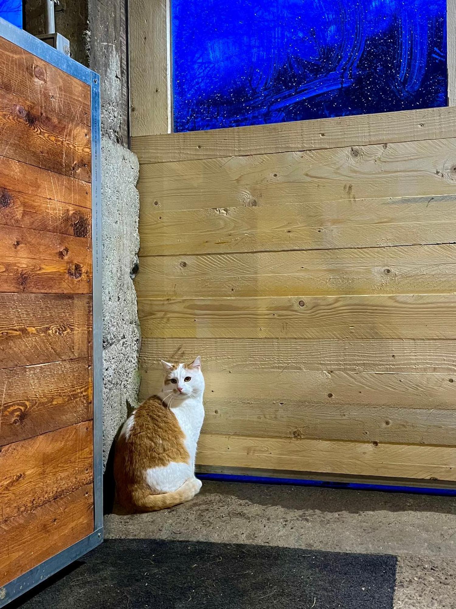 Agriturismo La Vecchia Chioderia Grandola ed Uniti Eksteriør billede