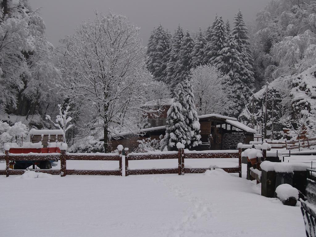 Agriturismo La Vecchia Chioderia Grandola ed Uniti Eksteriør billede