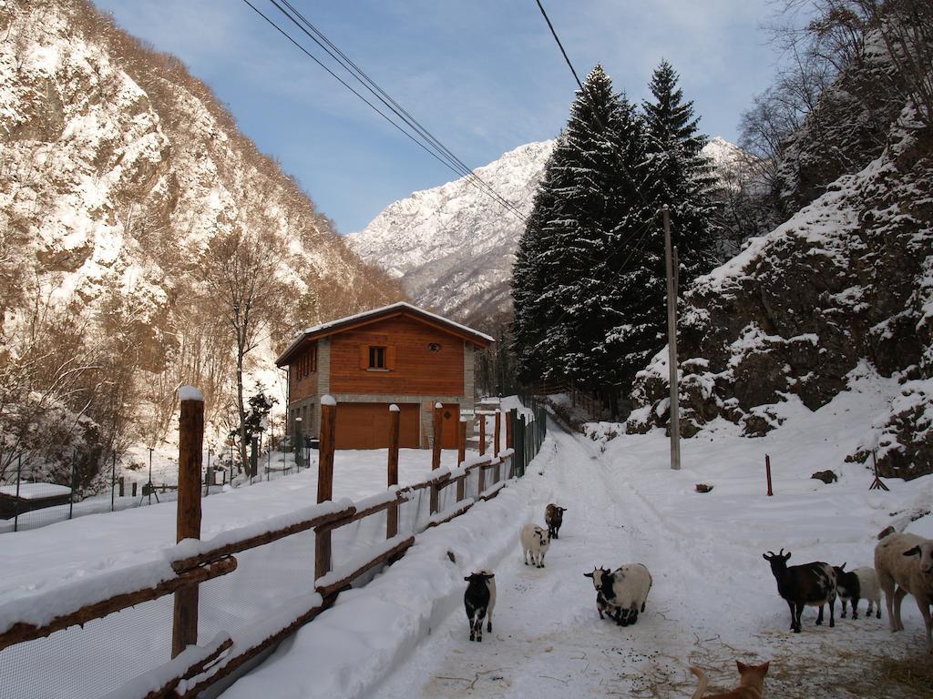 Agriturismo La Vecchia Chioderia Grandola ed Uniti Eksteriør billede